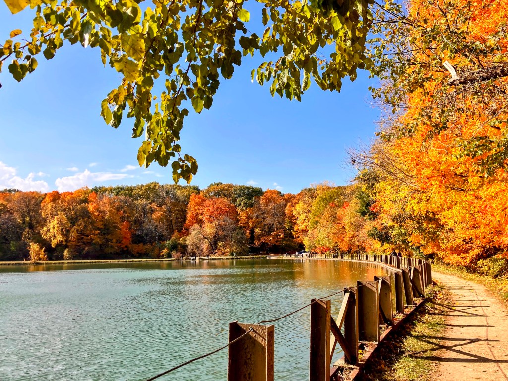 11 Best Fall Color Hikes and 3 Scenic Overlooks Around Chicago